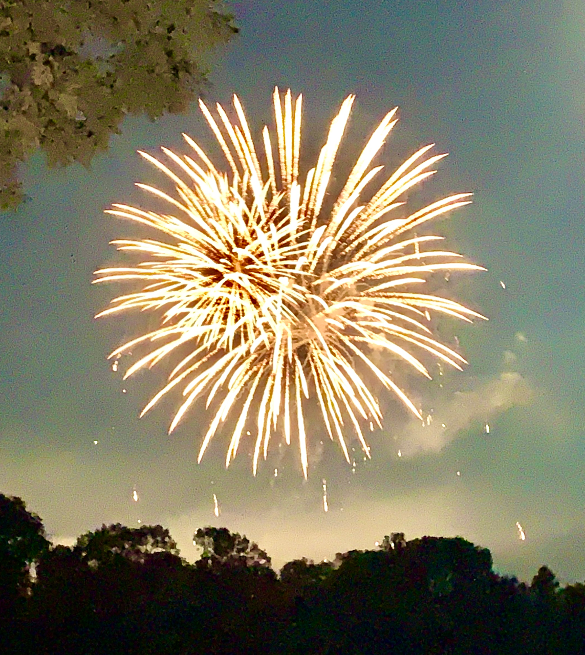4th of July -  Rock Island, TN