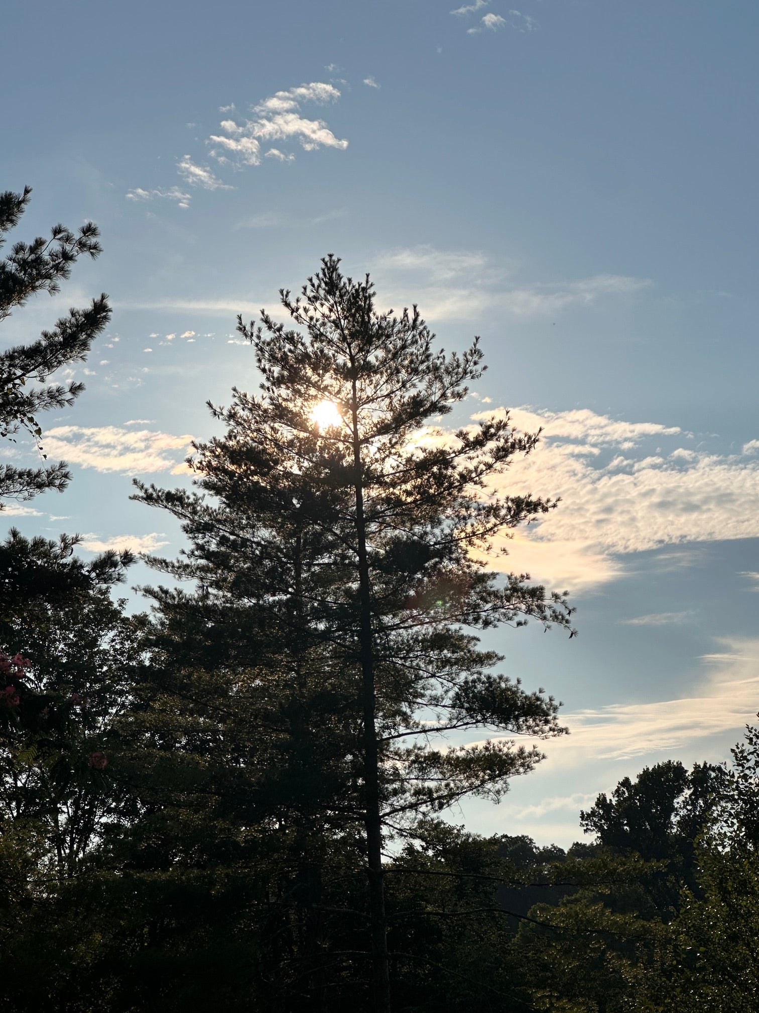 July Sky - Rock Island, TN